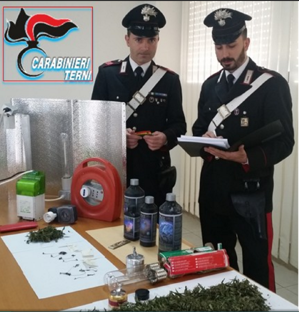 carabinieri di Terni marijuana sequestro